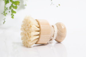 Zero Waste Scrub Brush for Dishes and Kitchen